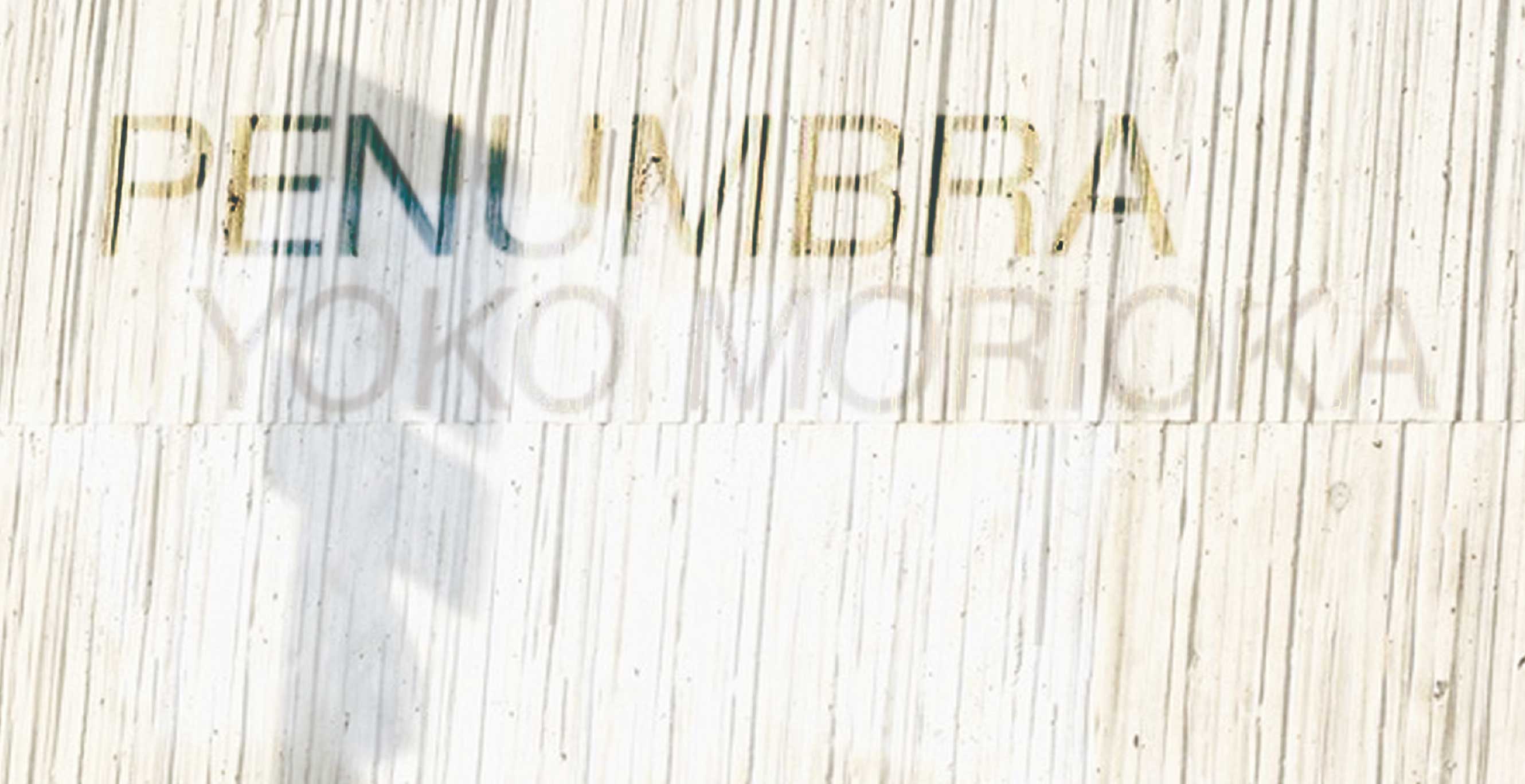 森岡洋子作品展 PENUMBRA