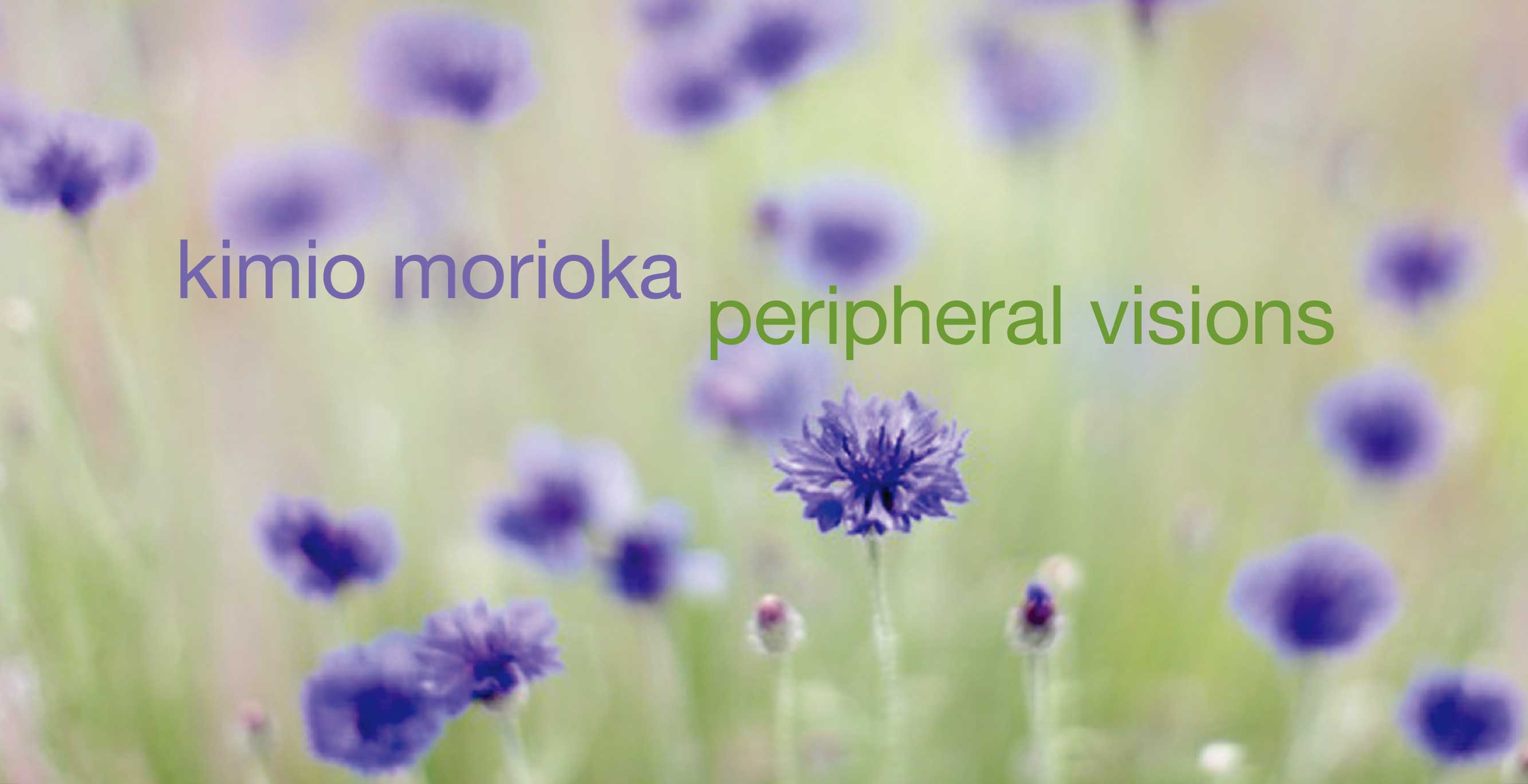 森岡喜三夫作品展 彩の向こうへ